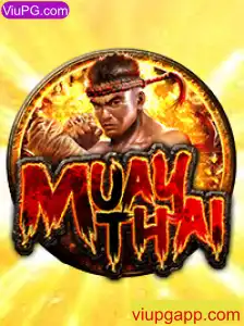 Descubra o Mundo do MuayThai e Como Jogar: Regras e Introdução
